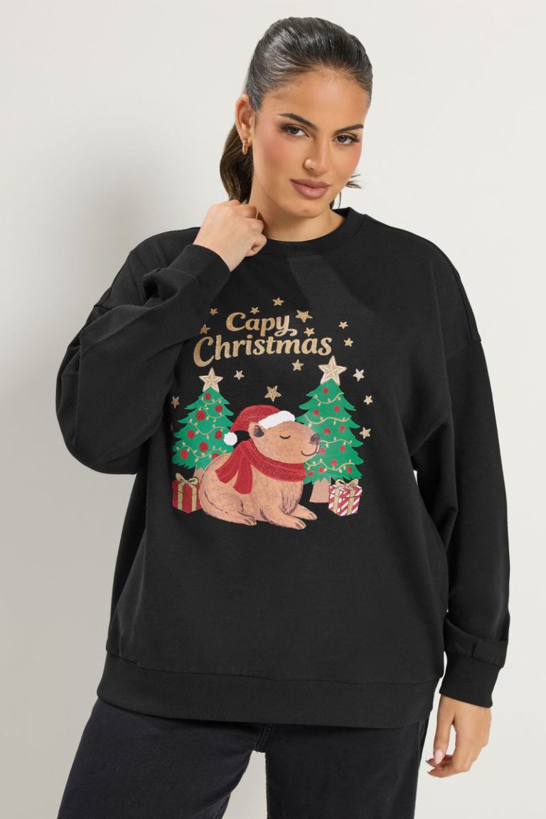 'Capy Christmas' Glitter Novelty Sweatshirt from Boohoo