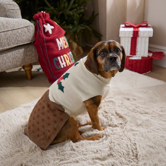 Christmas Pudding Pet Jumper from Dunelm