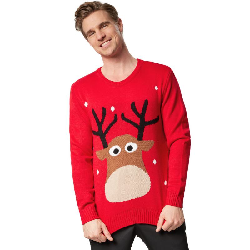 Cute Reindeer Christmas Jumper from Debenhams