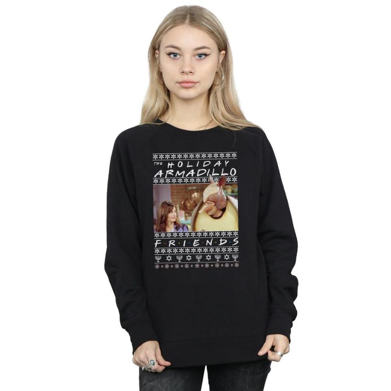 Fair Isle Holiday Armadillo Sweatshirt Christmas jumper from Debenhams
