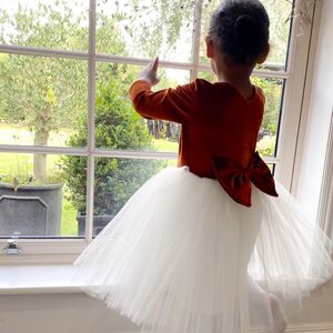 Long Sleeve Burnt Orange Velvet Christmas Party Dress from Not On The High Street